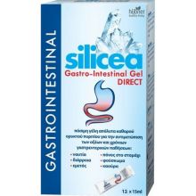 Silicea Gastro-Intestinal Gel DIRECT 12 X 15ml